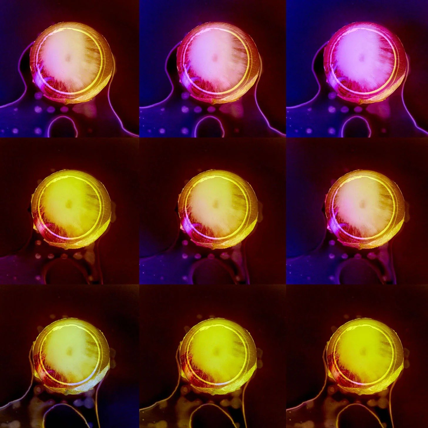 Grid of luminous circular forms in violet orange and yellow