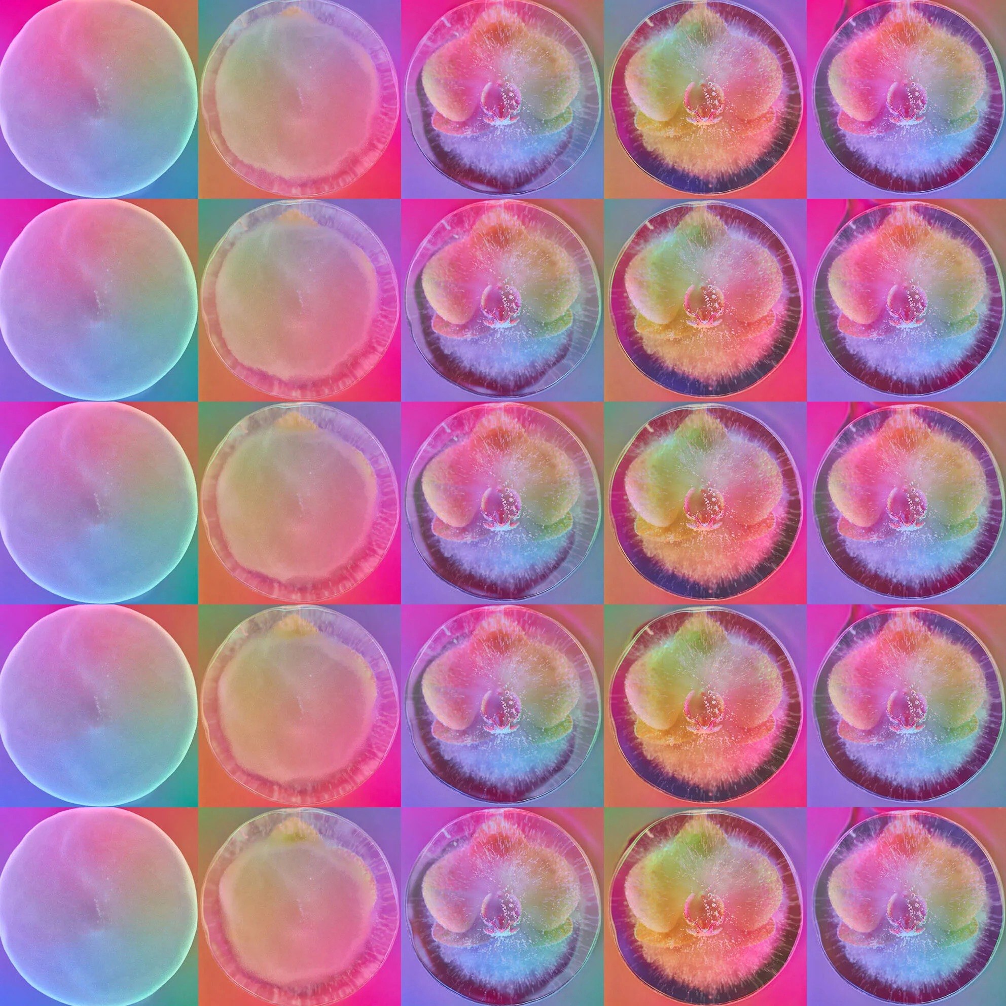 Grid of overlapping translucent forms in pastel colours