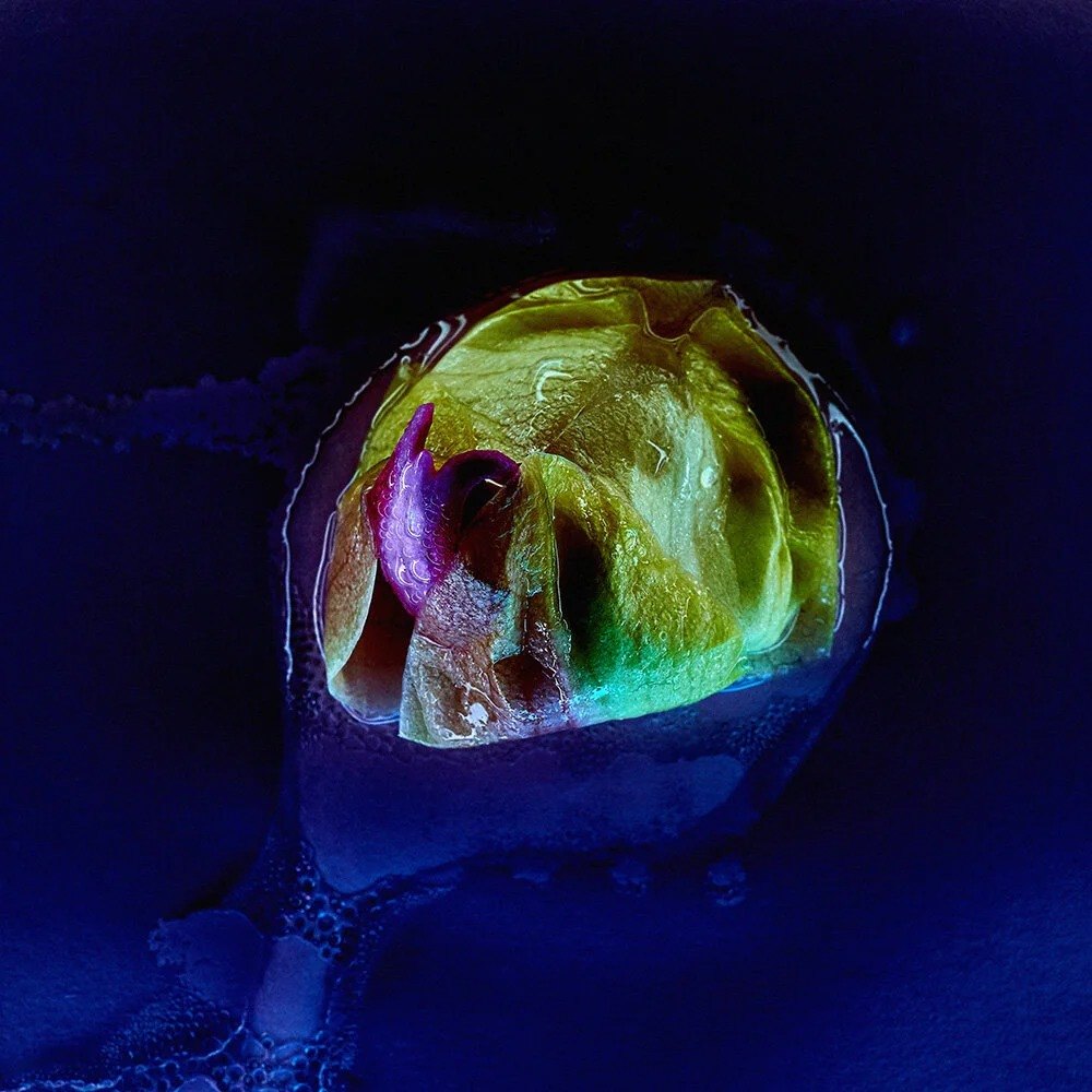 Luminous multicoloured form suspended against black