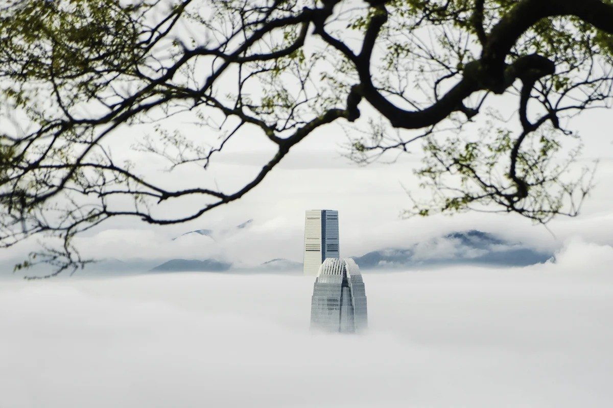 Bare branches framing a distant building in mist
