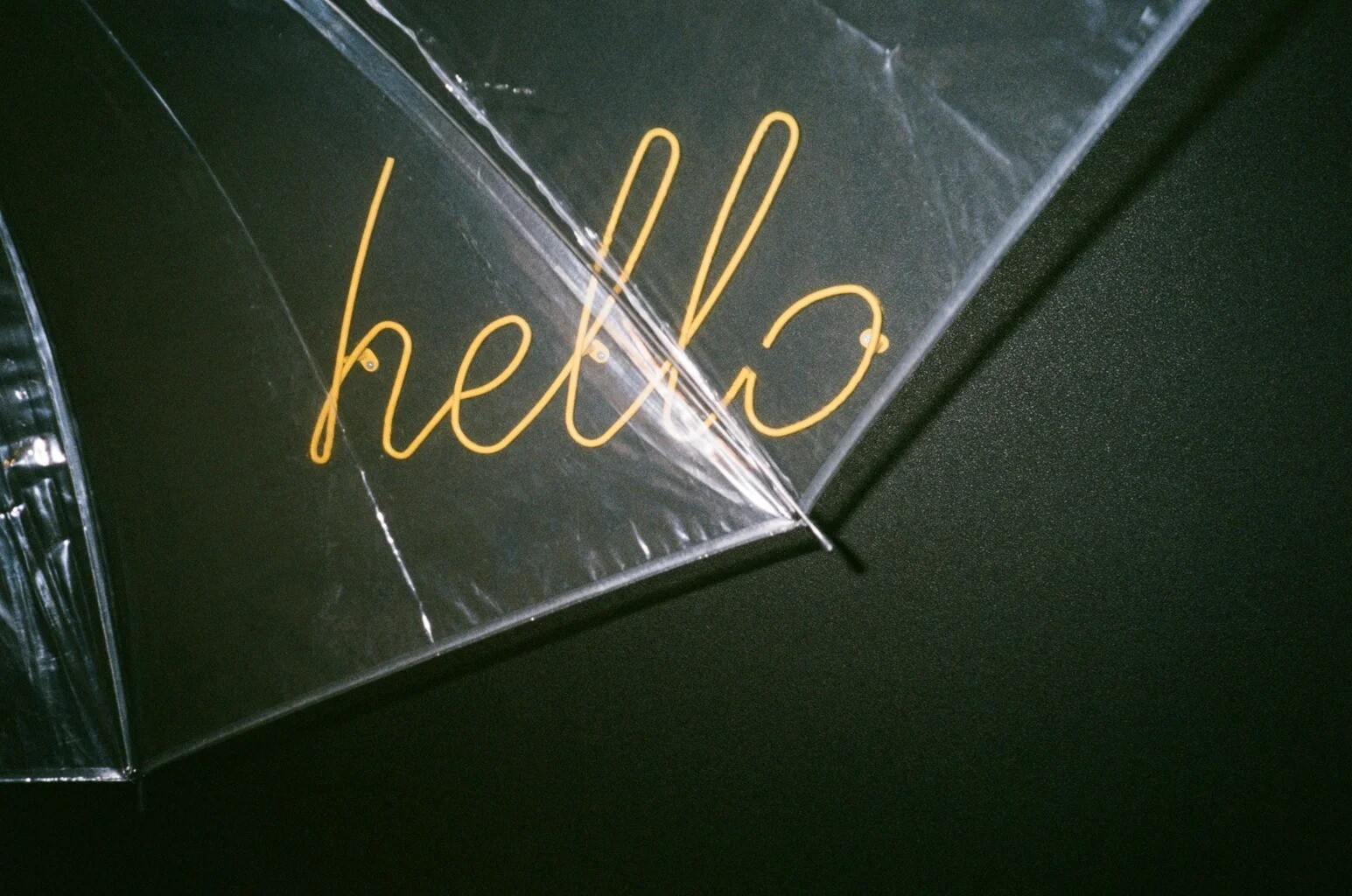 Snapshots photograph 1 by Mia Haggi
